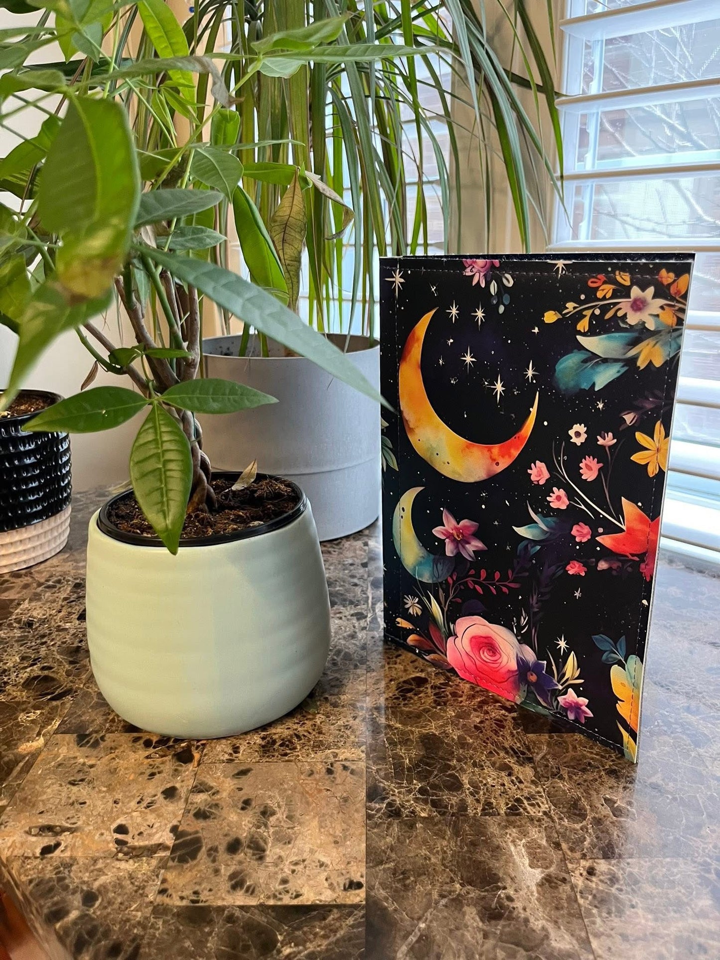 Moon garden preorder round 30.5