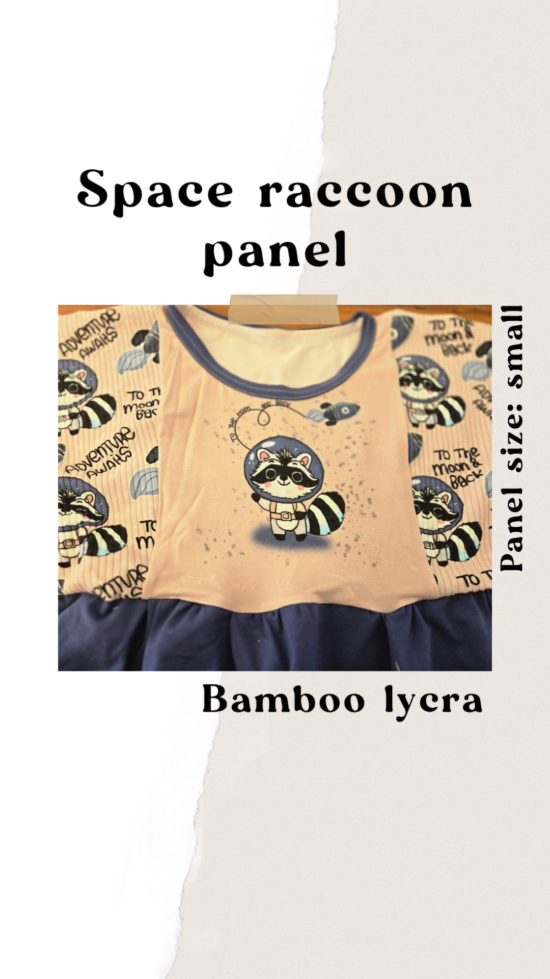 Space raccoon panel round 25 retail