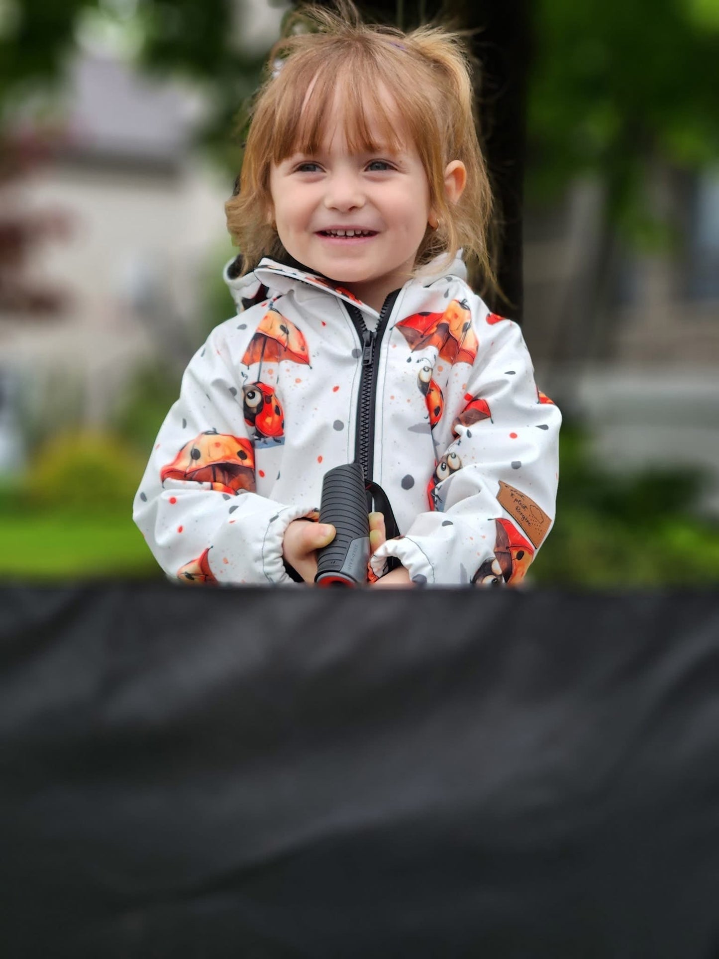 Lady bug preorder round 30.5