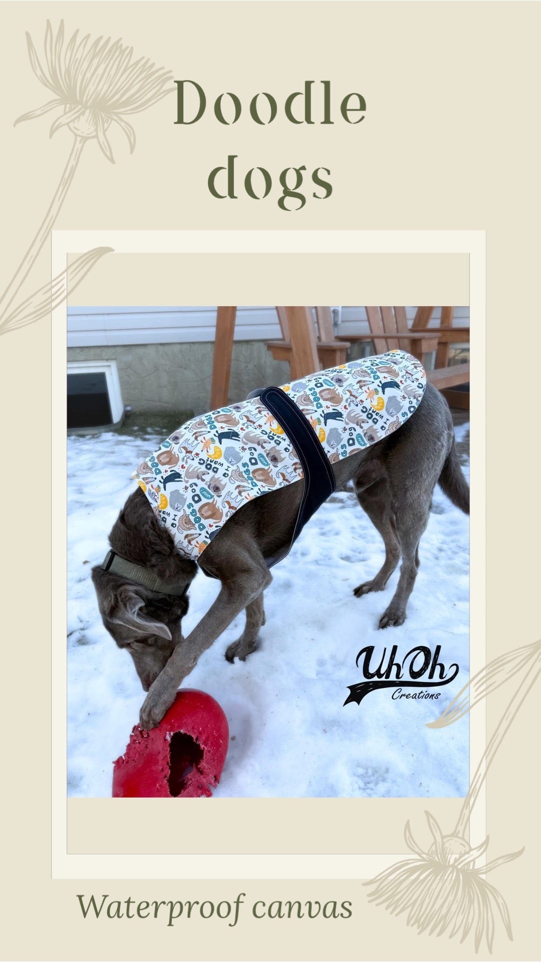 Doodle dogs preorder round 33