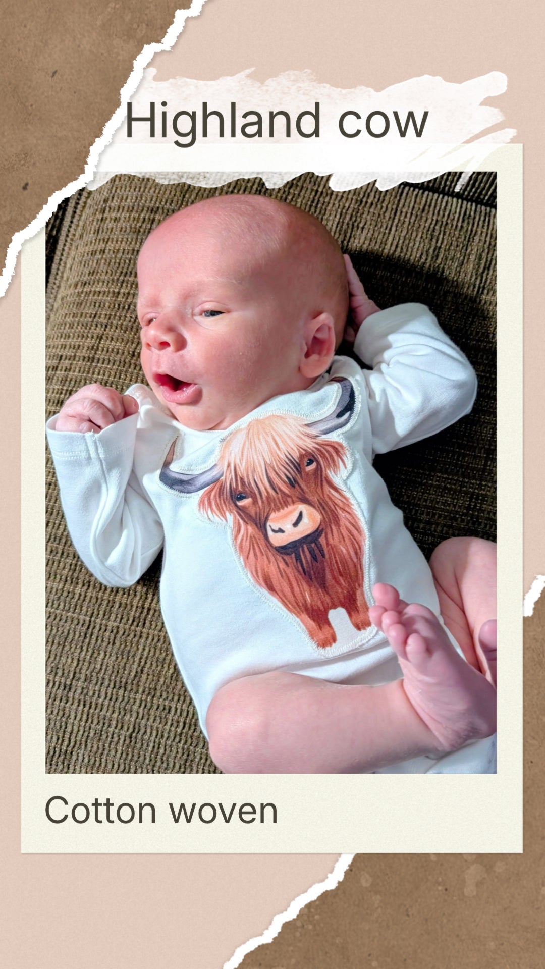 Highland cow preorder round 30