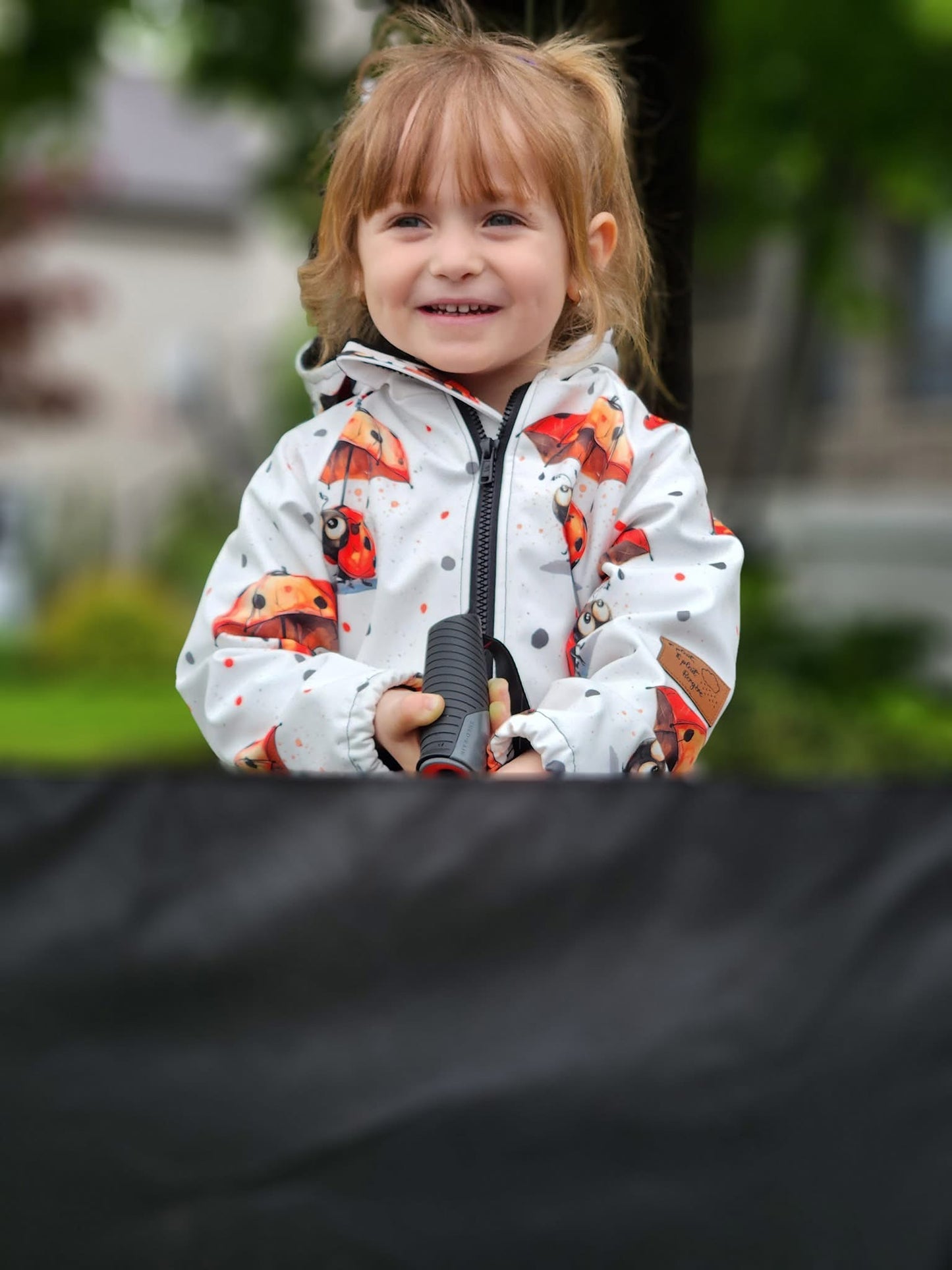 Ladybug round 26 retail