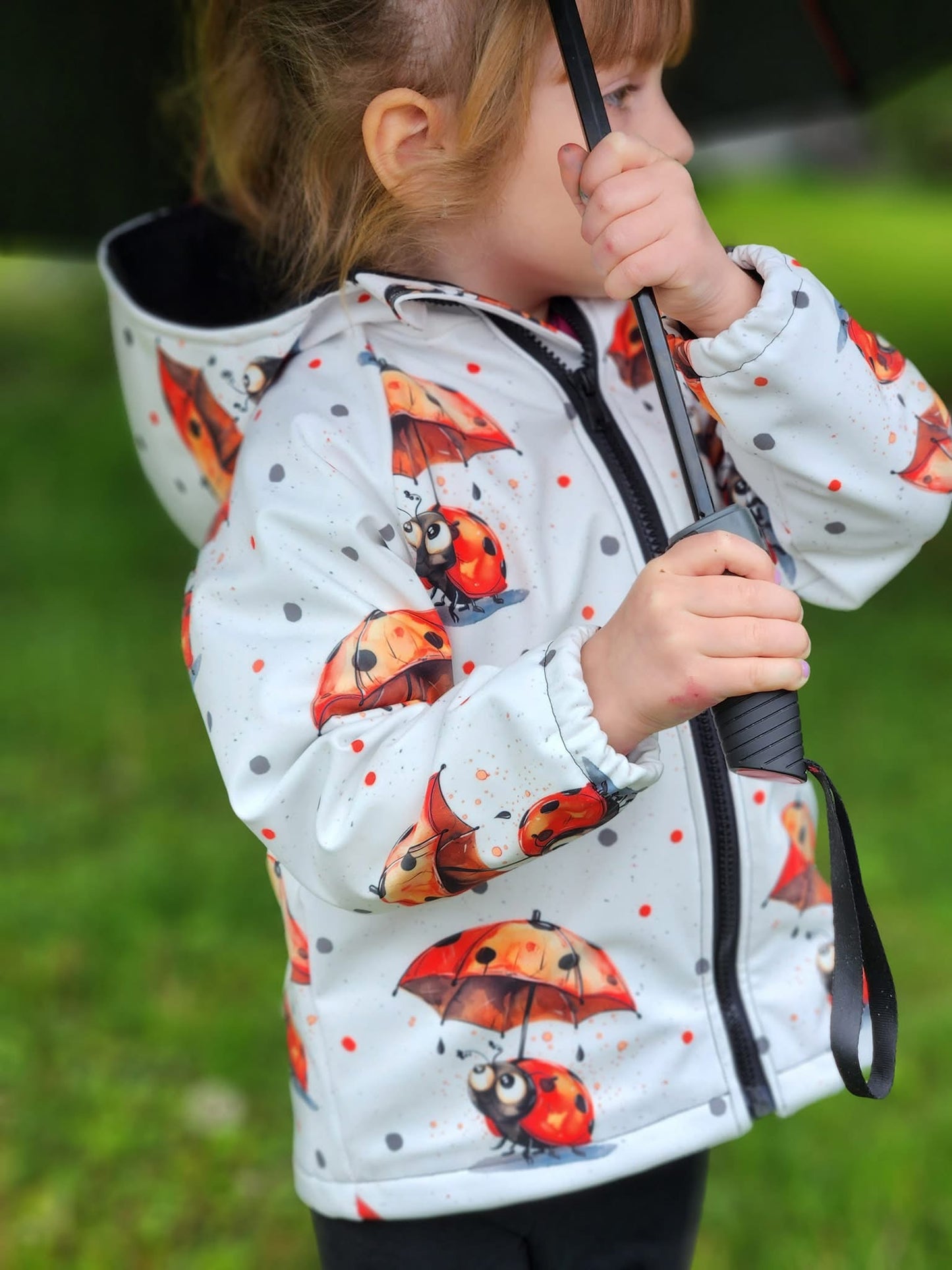 Ladybug round 26 retail