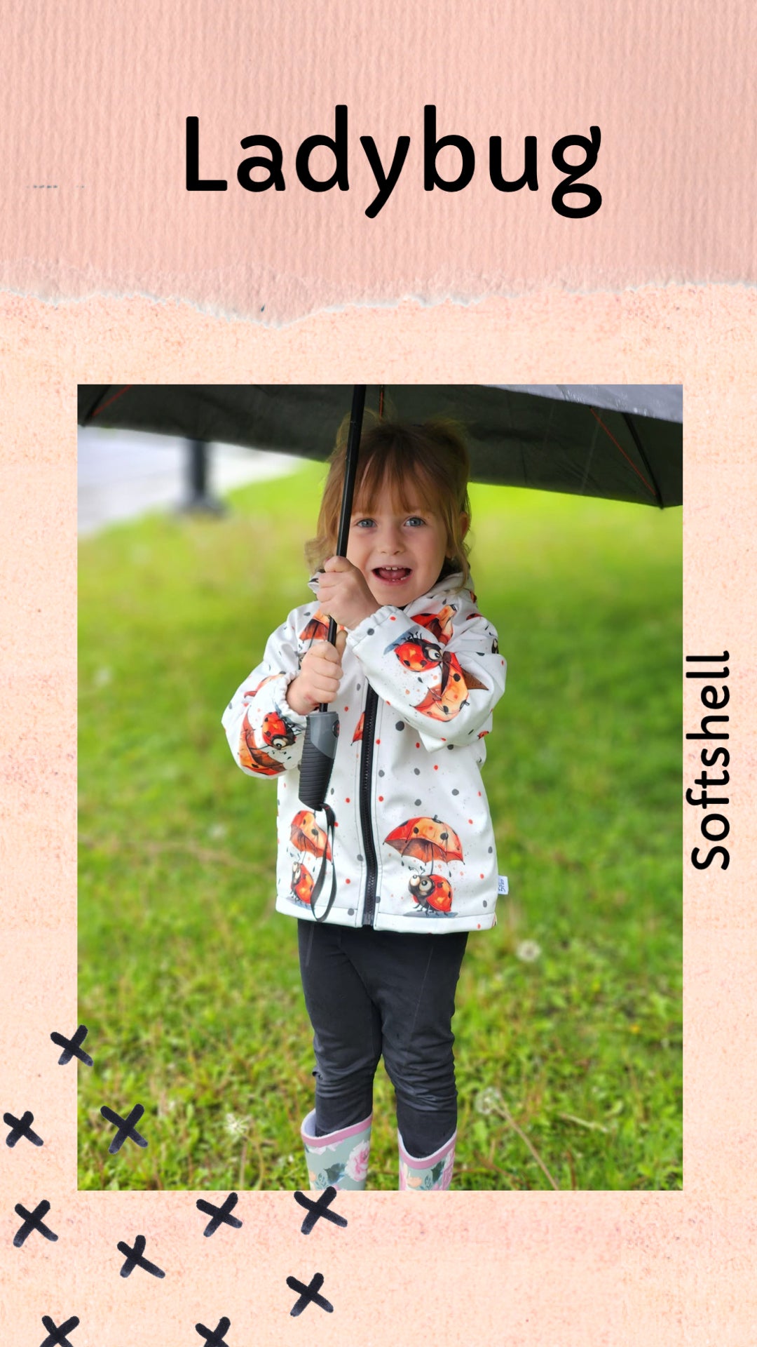 Ladybug round 26 retail