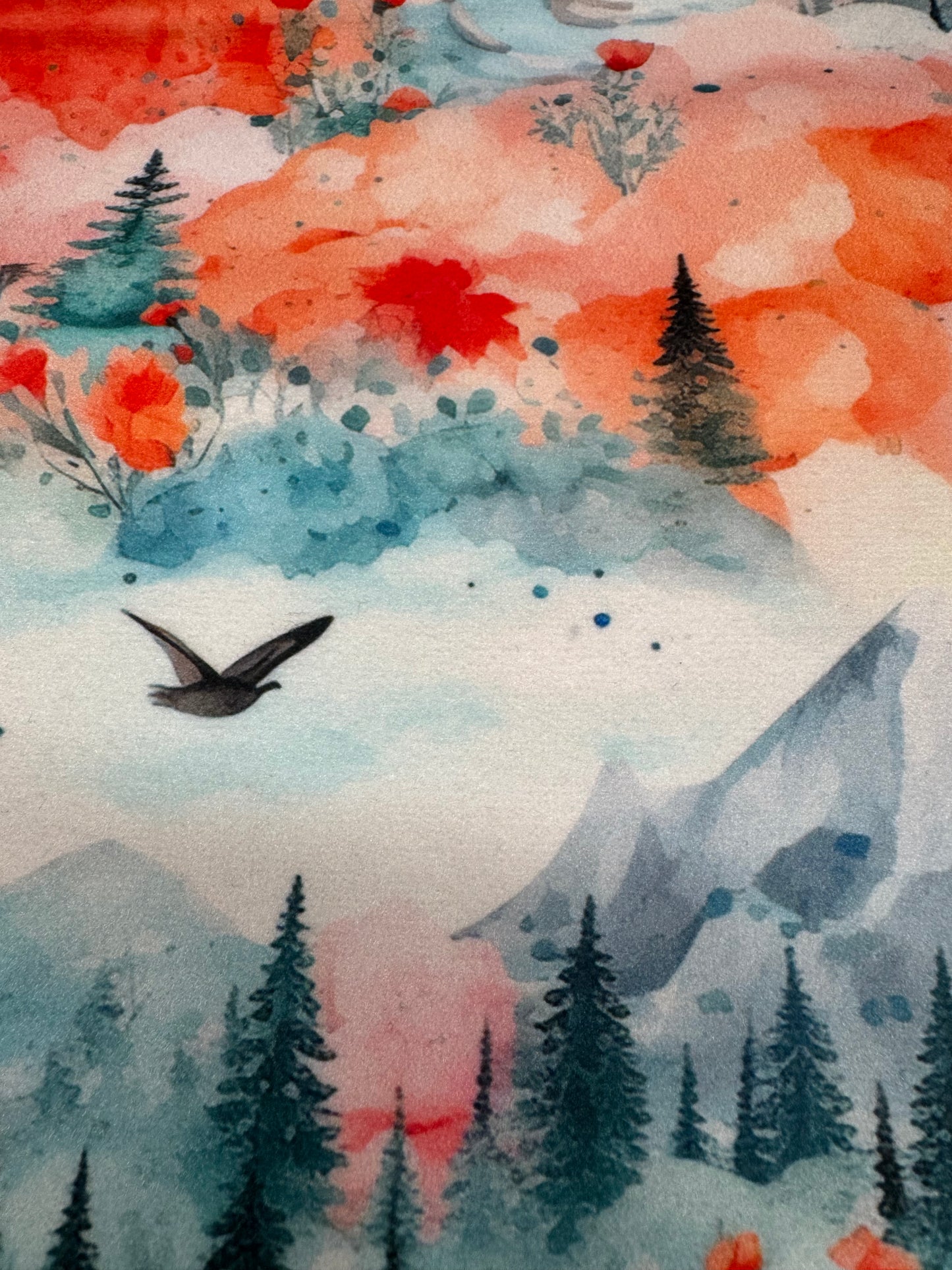 Coral mountain printer error softshell