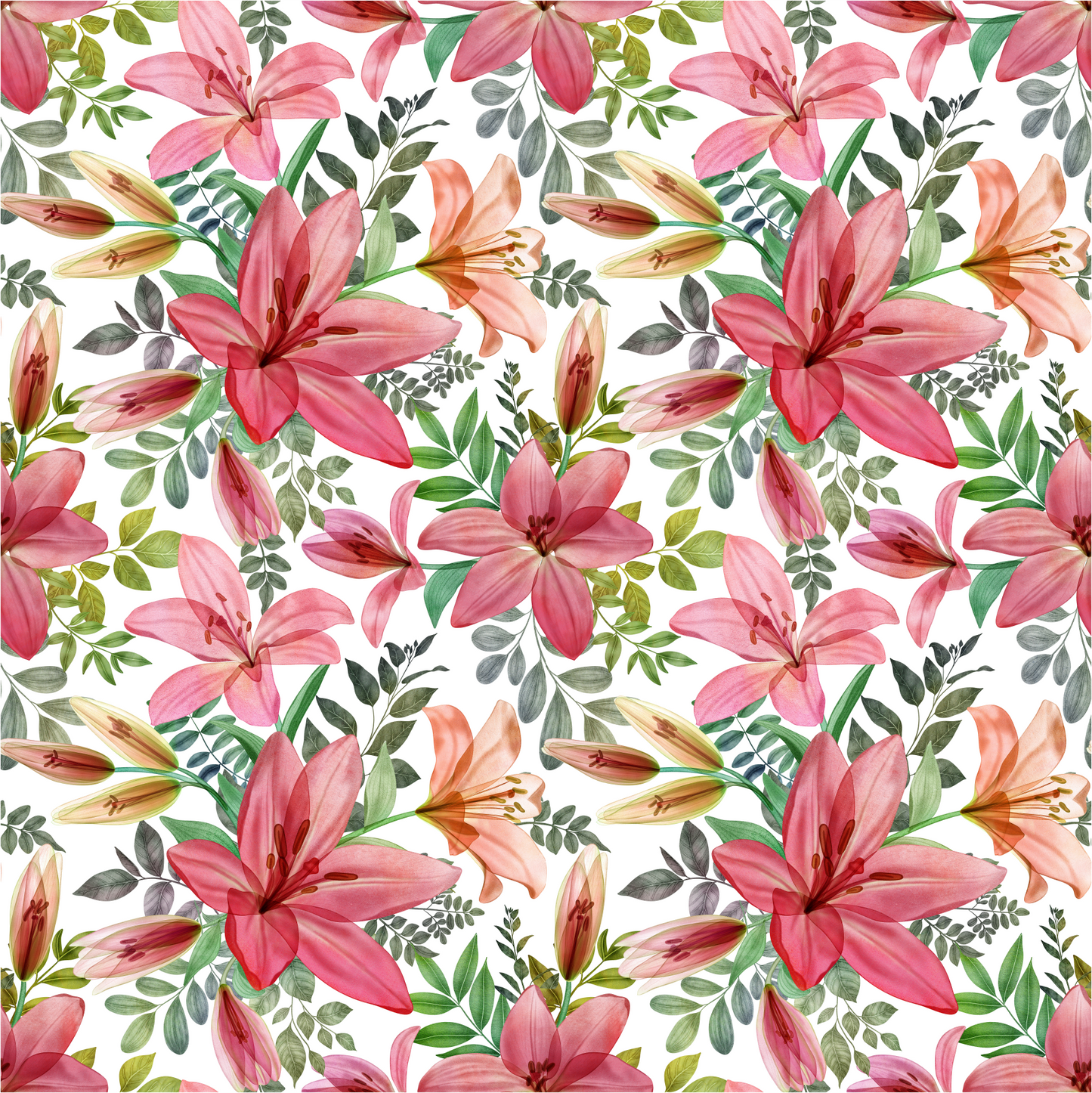 Lily preorder round 37.5 retail