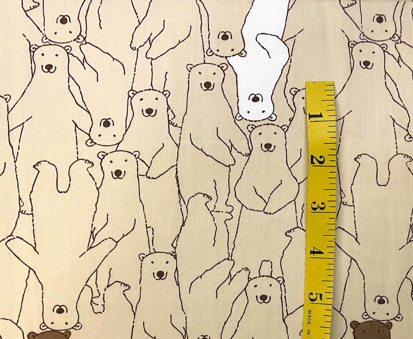 Tan bears