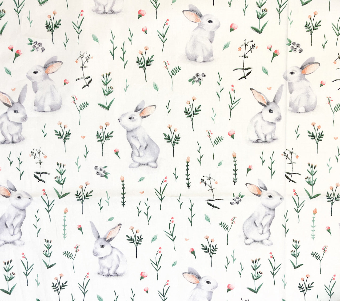 Bunnies on white