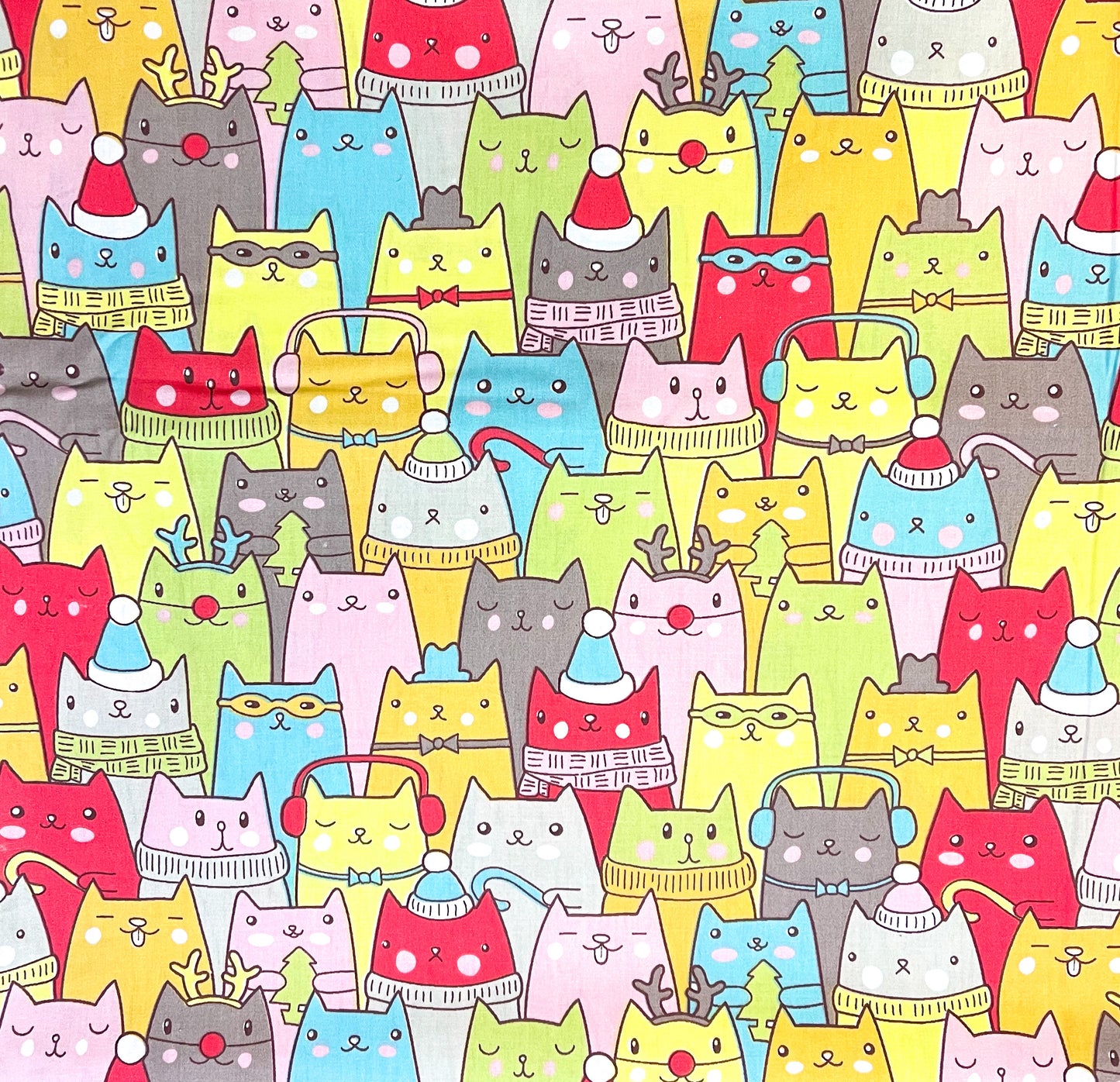 Winter cats