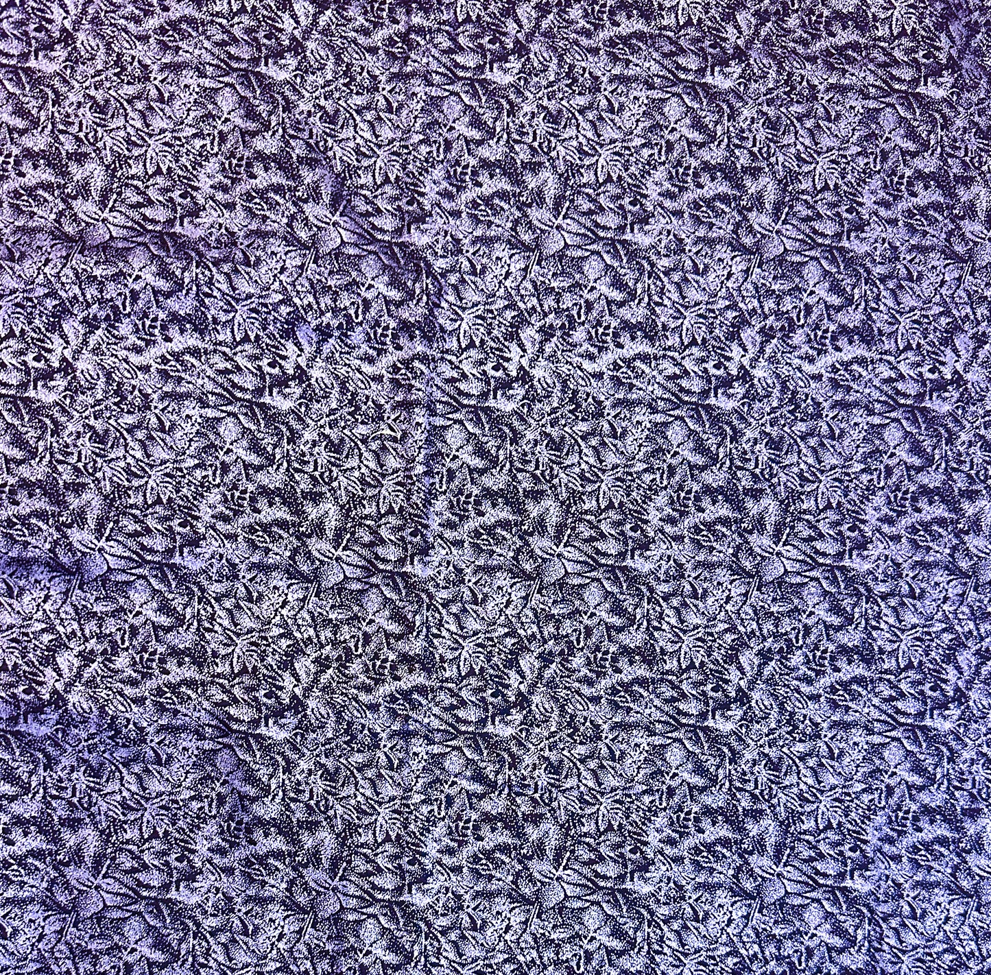 Fairy Frost in purple