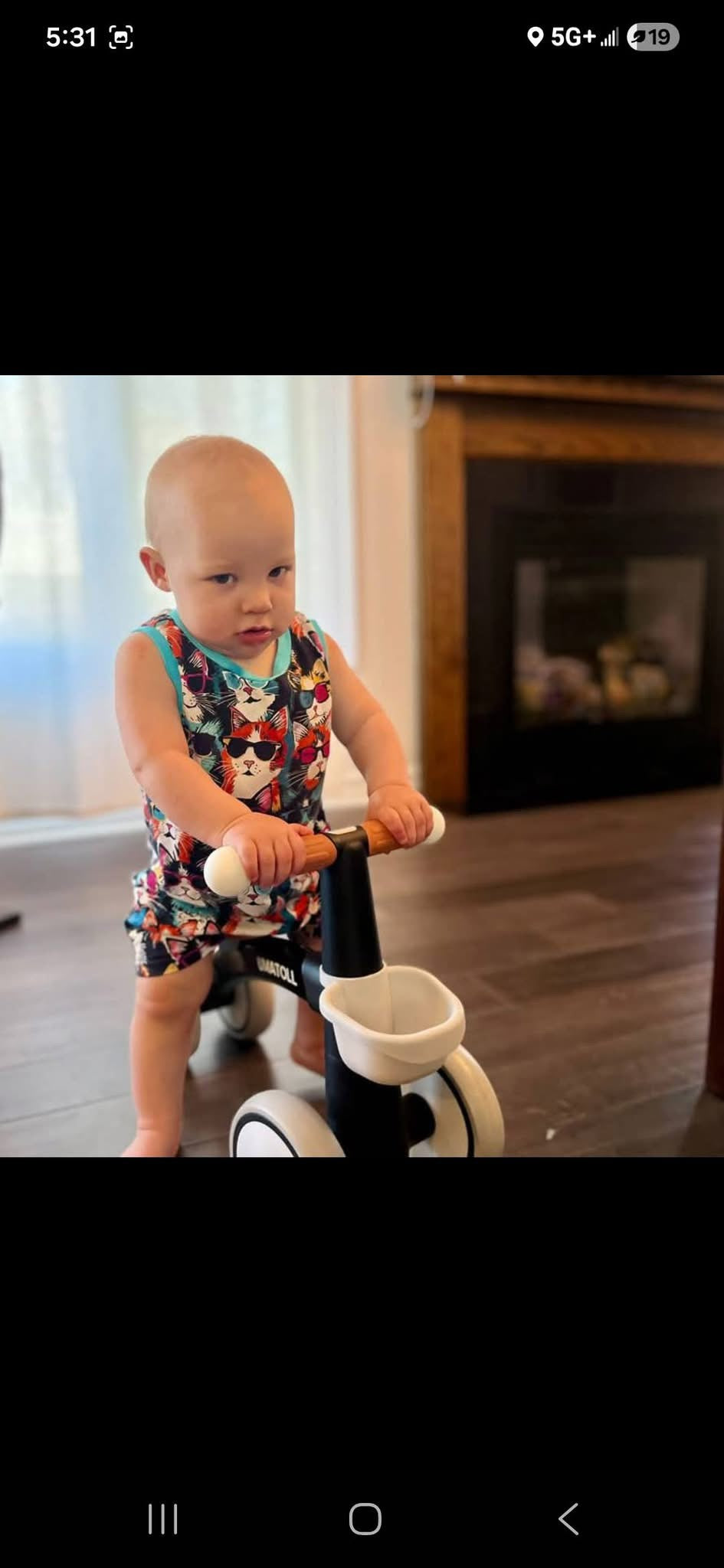 Cool cats preorder round 33