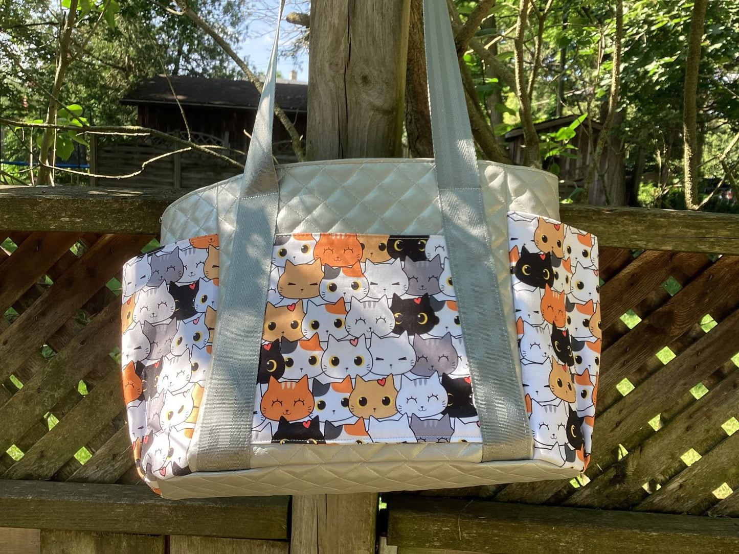 Cutie cat preorder round 40