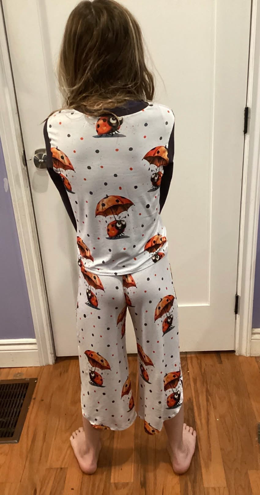 Lady bug quilt show retail