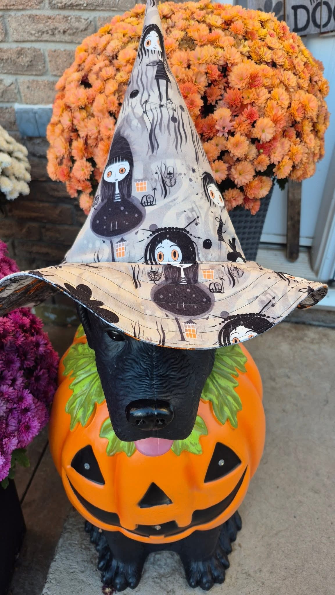 The wild coven preorder round 31