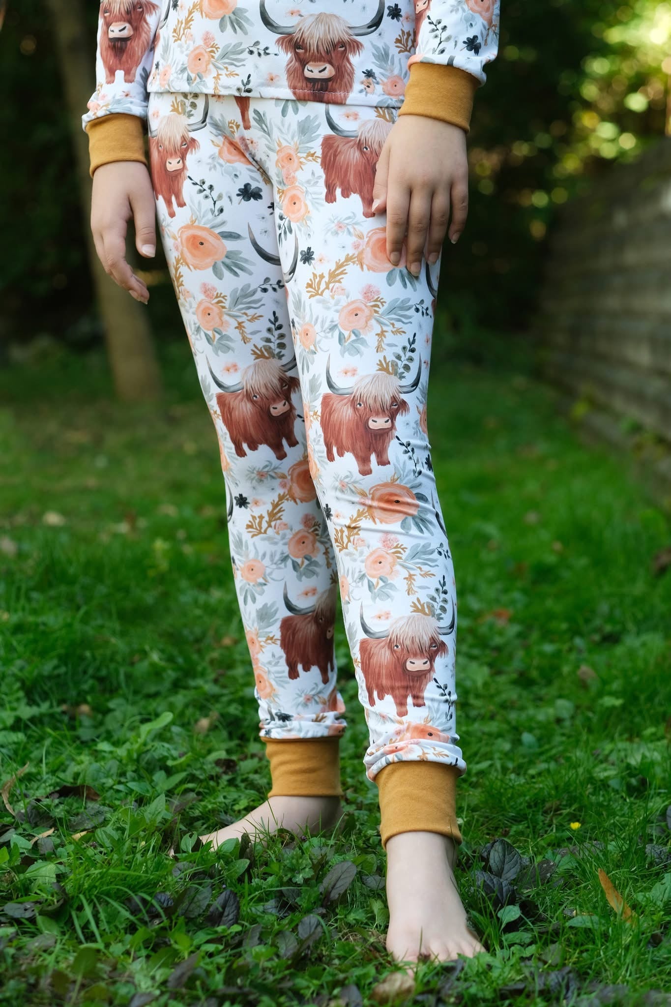 Highland cow preorder round 30