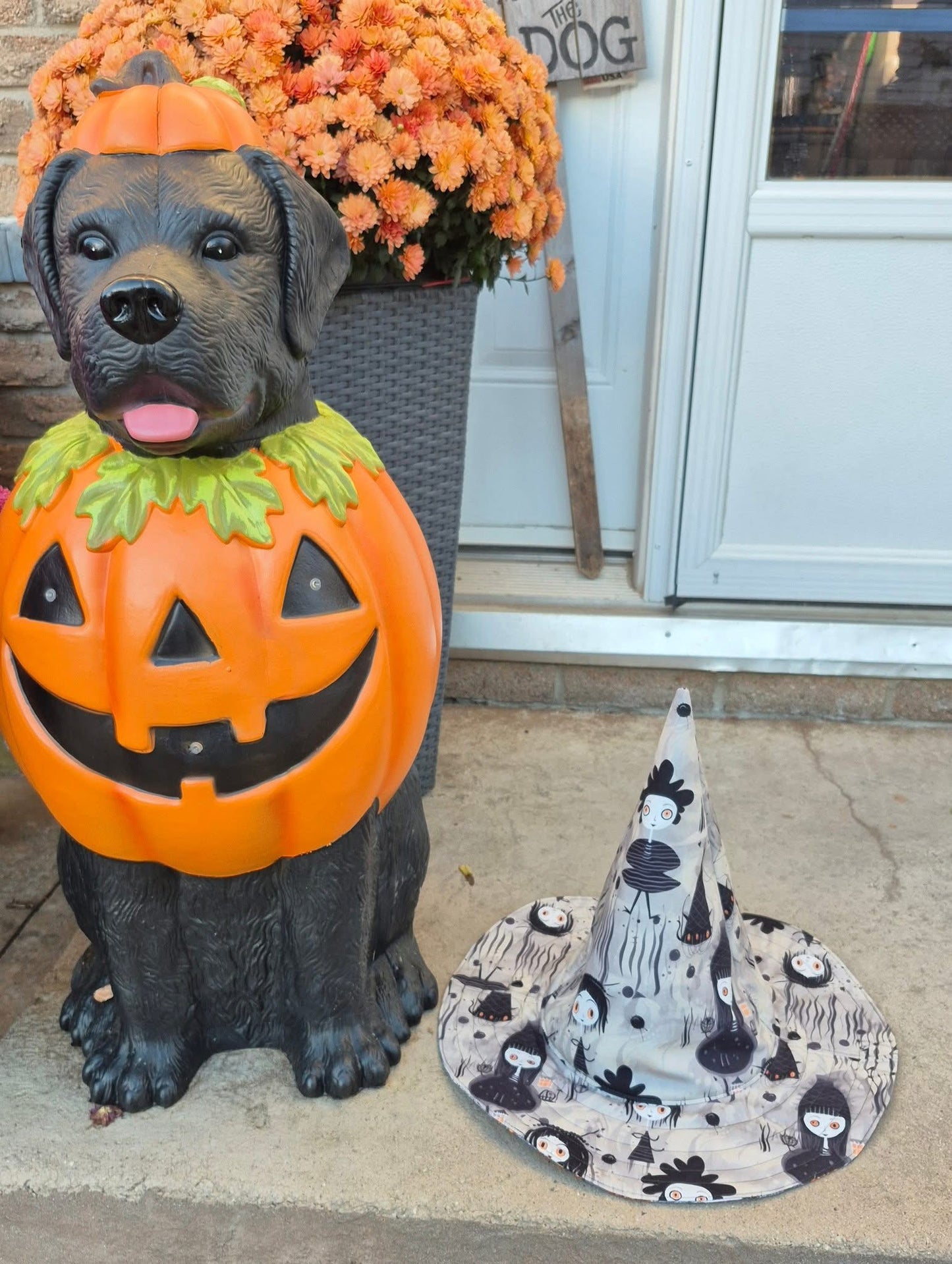 The wild coven preorder round 31