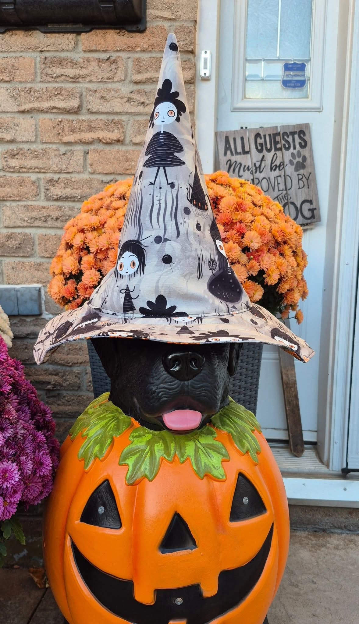 The wild coven preorder round 31