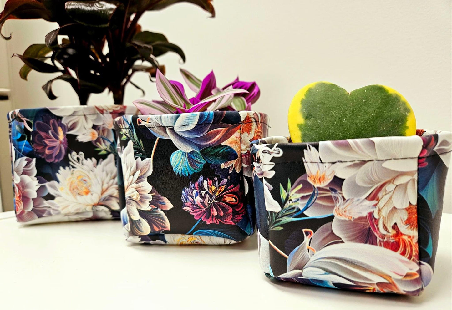 Gleichen preorder round 33.5