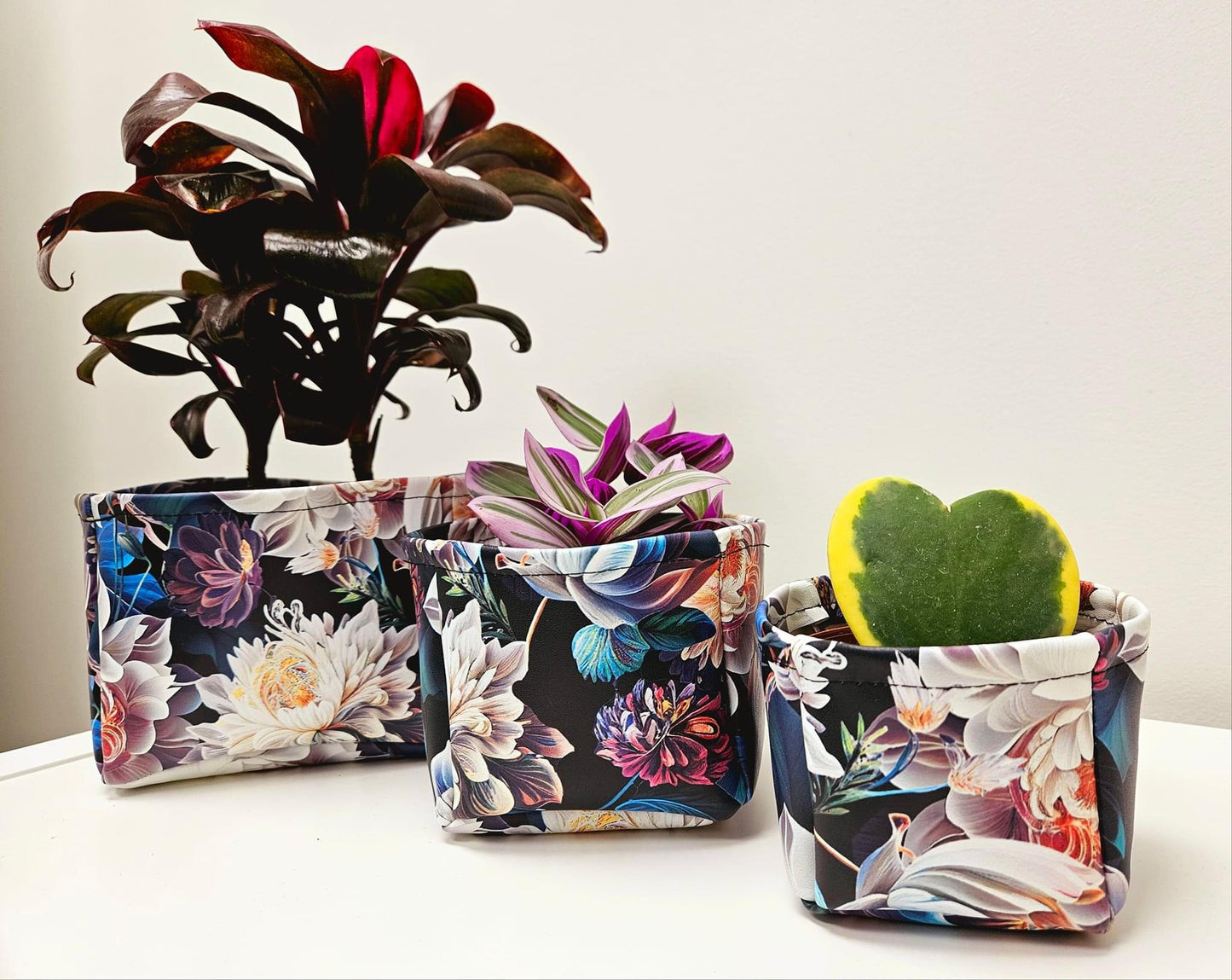 Gleichen preorder round 33.5