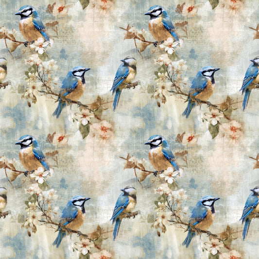 Bluejay round 37.5 retail