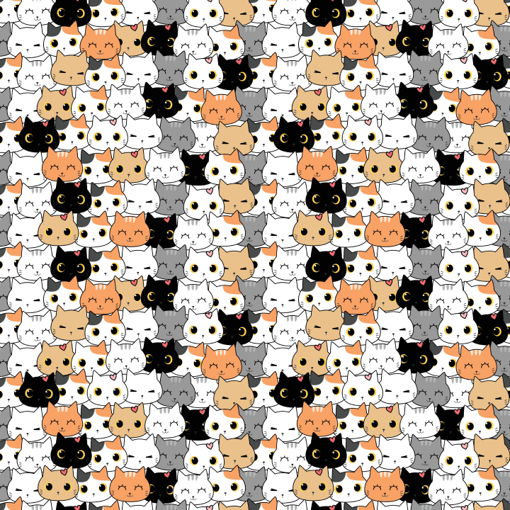 Cutie cat preorder round 40