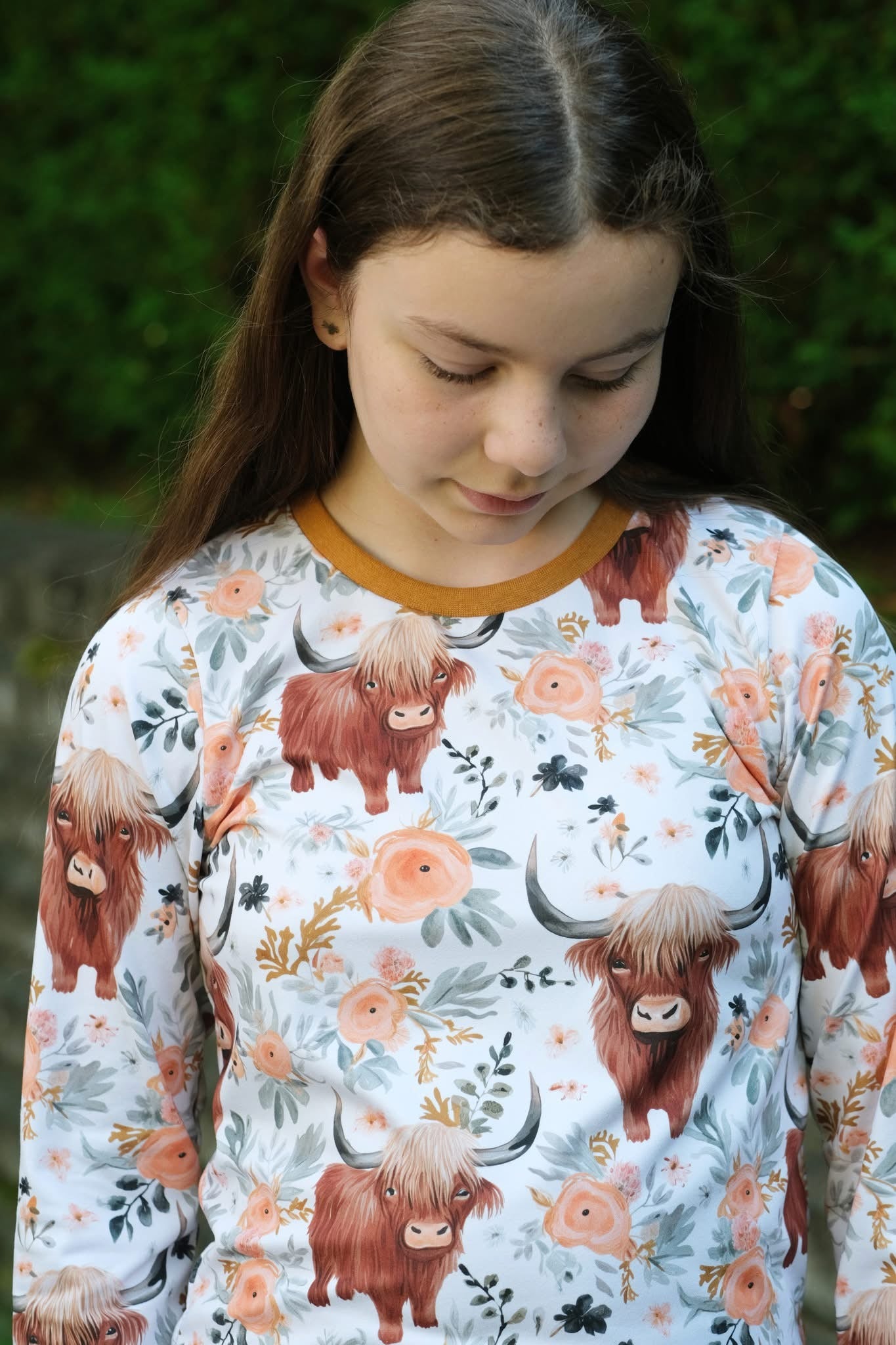 Highland cow preorder round 30