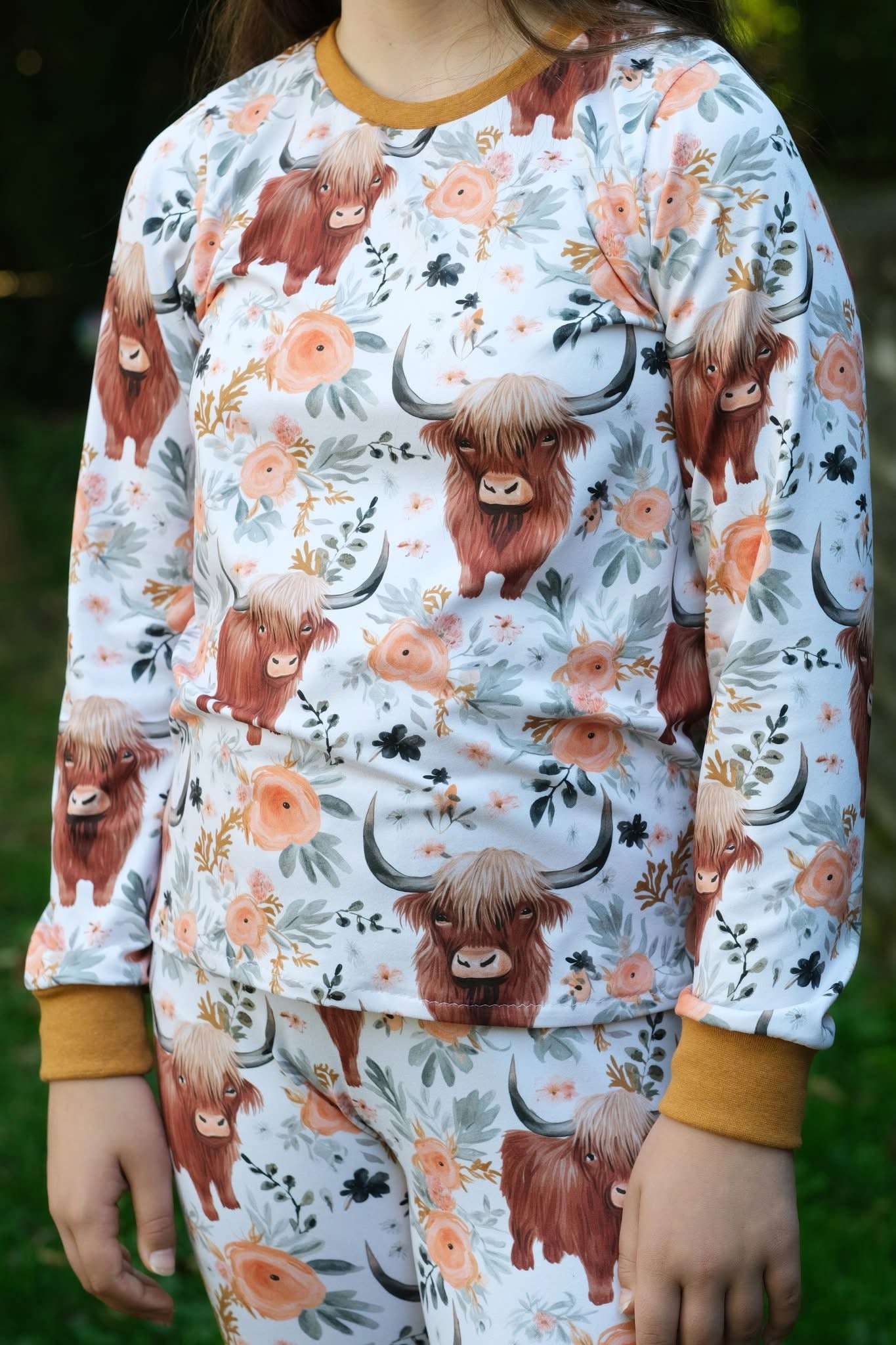 Highland cow preorder round 30