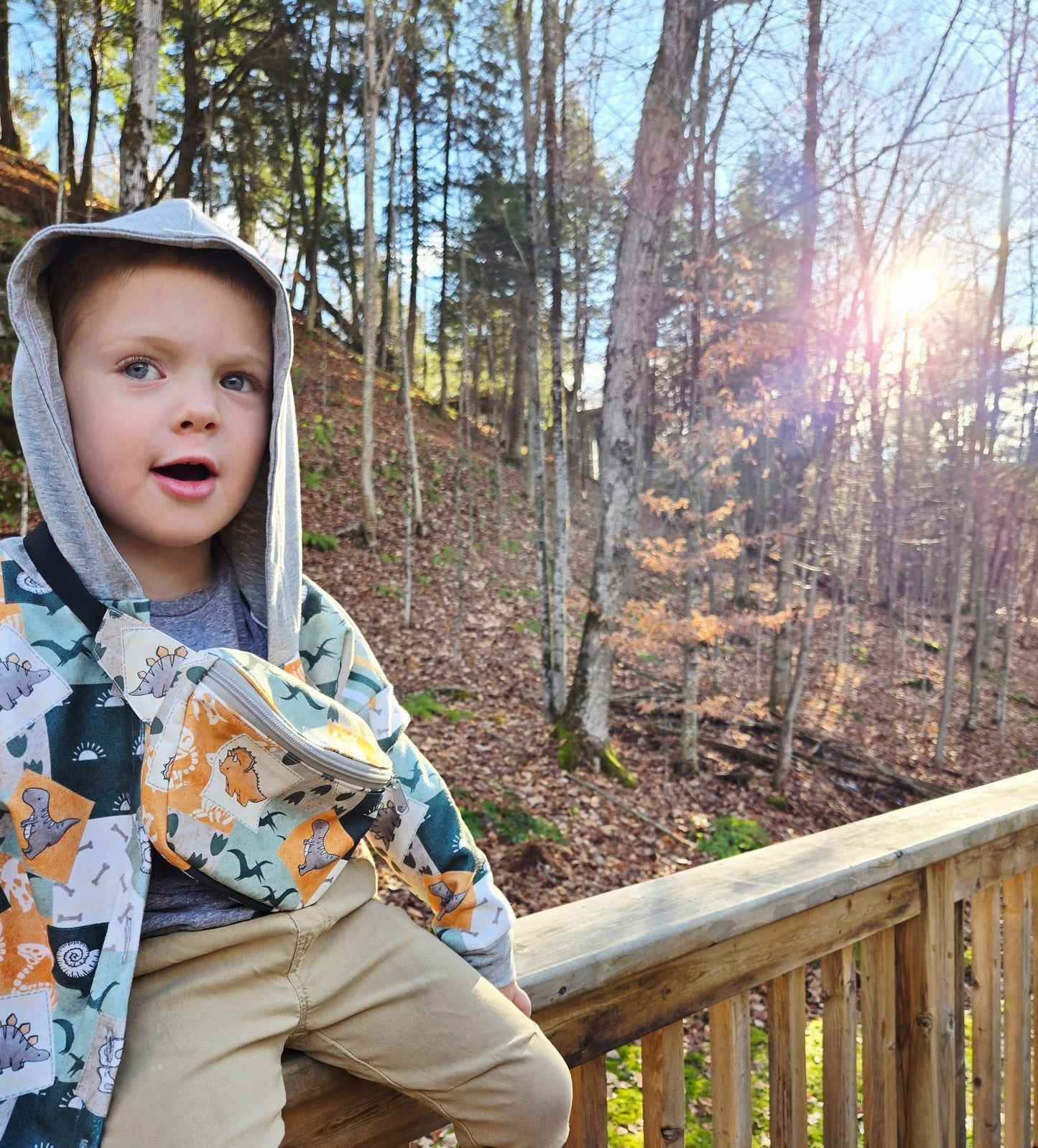 Dino patchwork preorder round 32