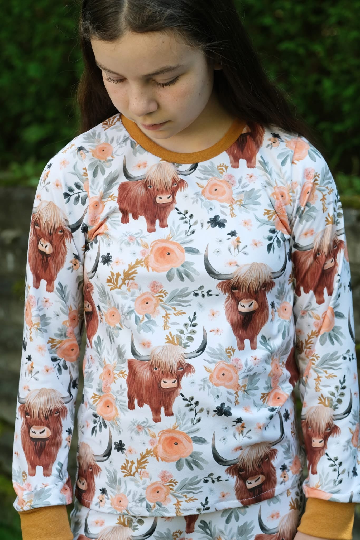 Highland cow preorder round 30
