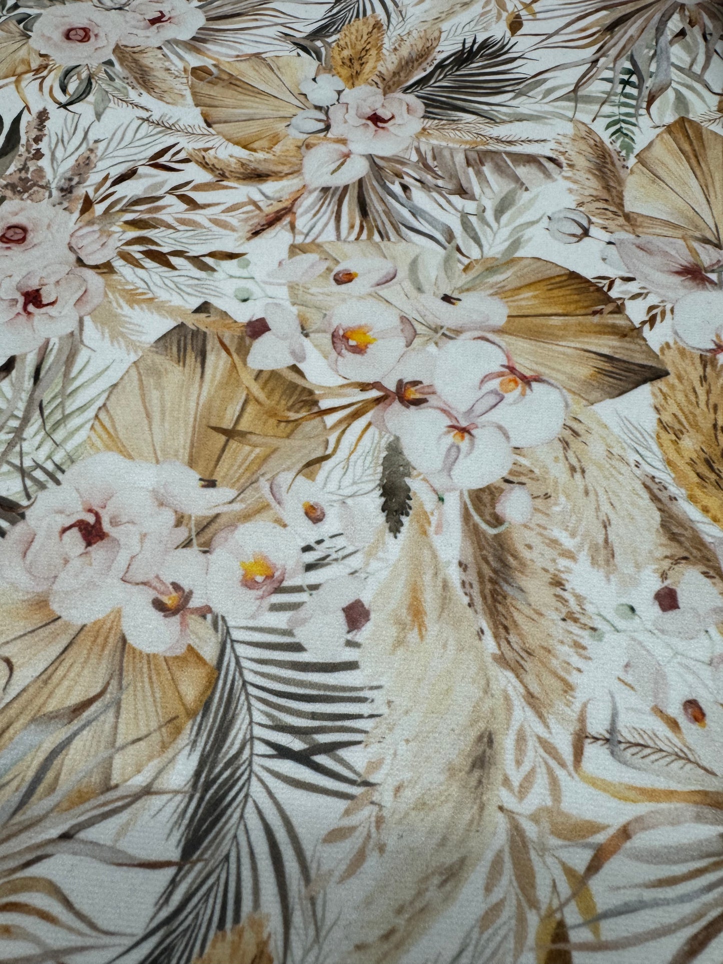 Paradise printer error softshell