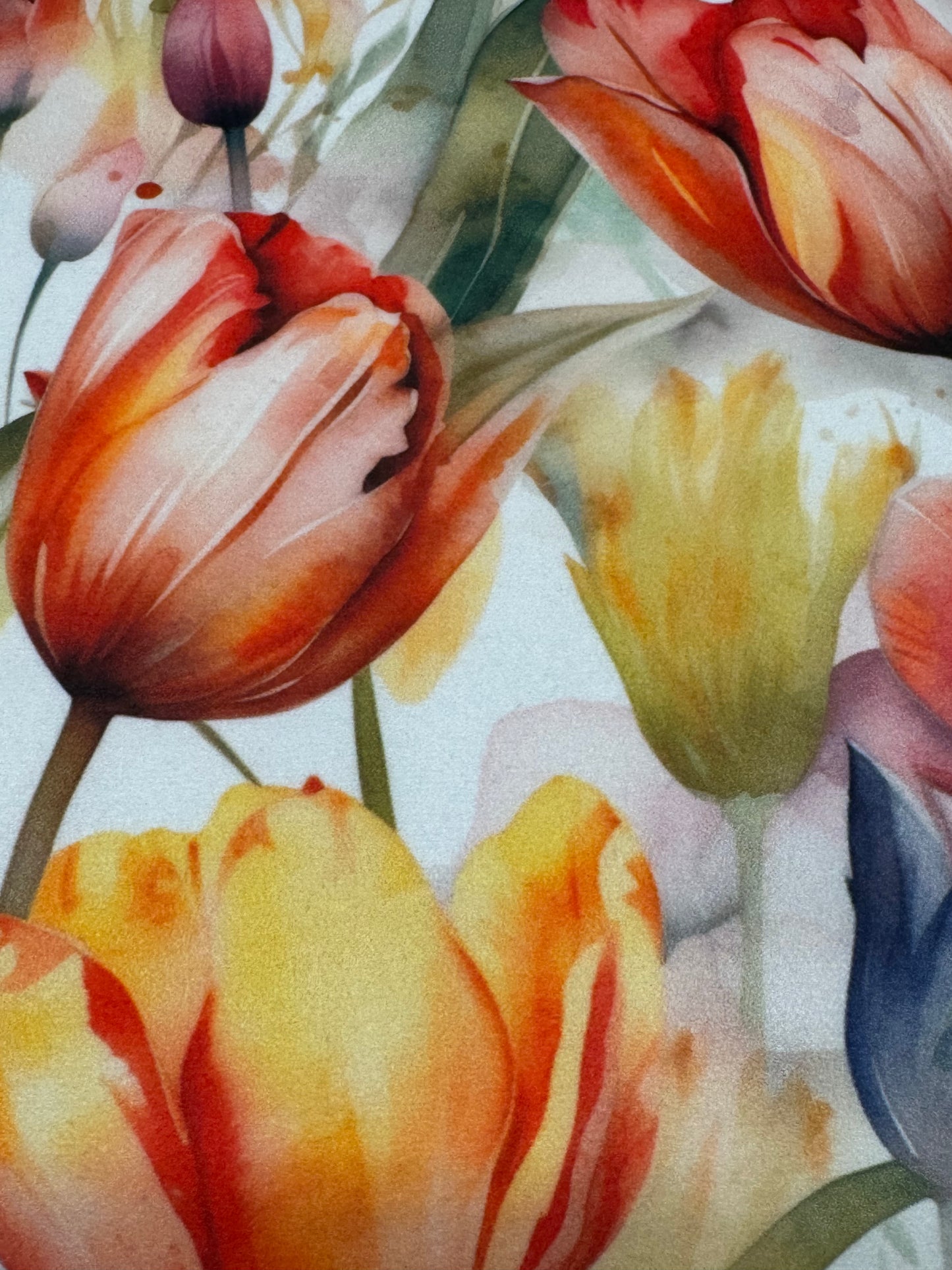 Tulips printer error softshell