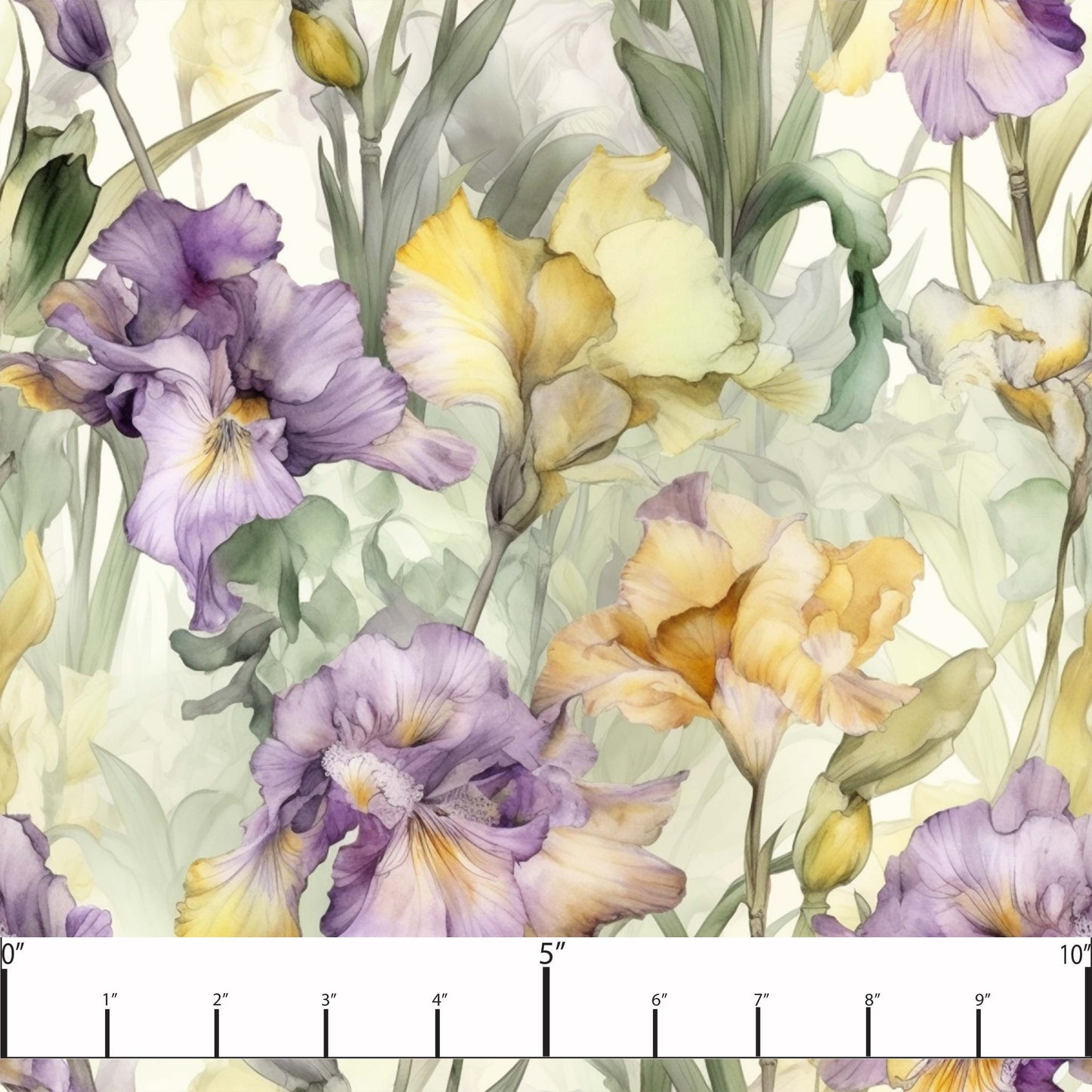 Iris preorder round 33