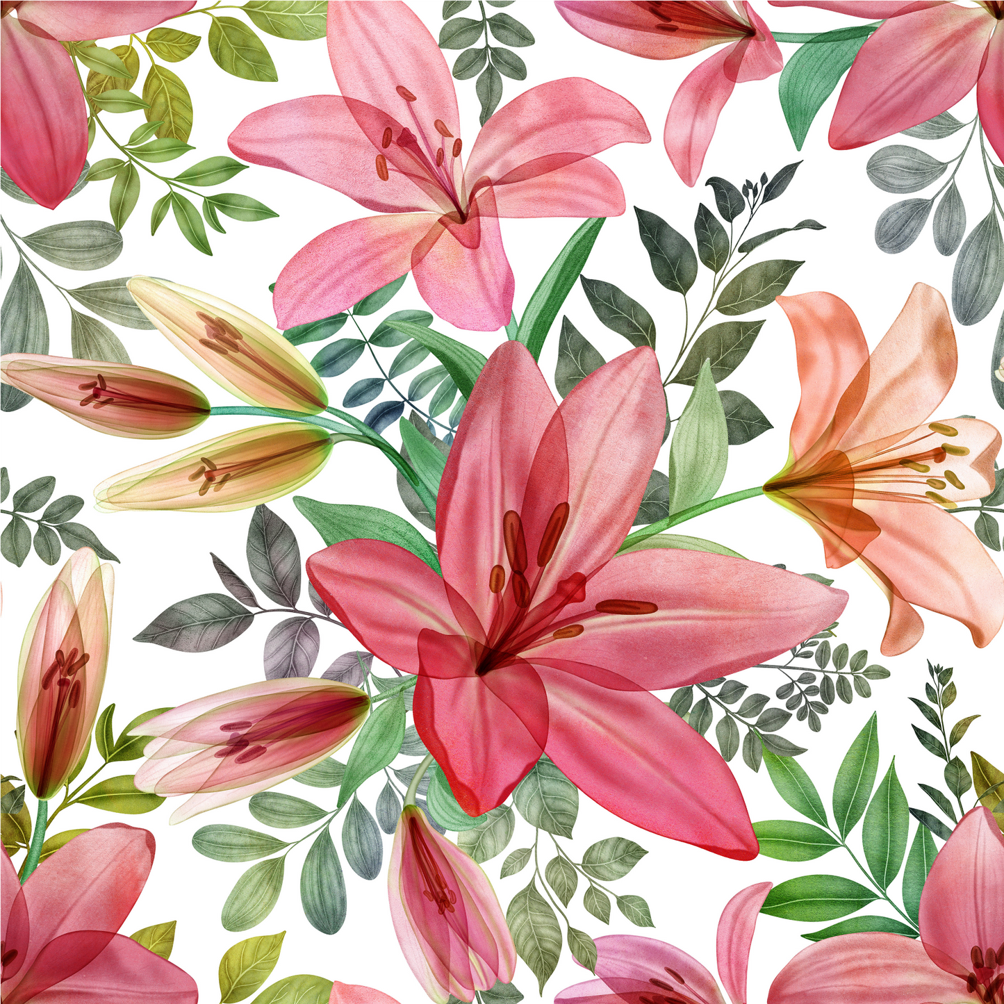 Lily preorder round 37.5 retail