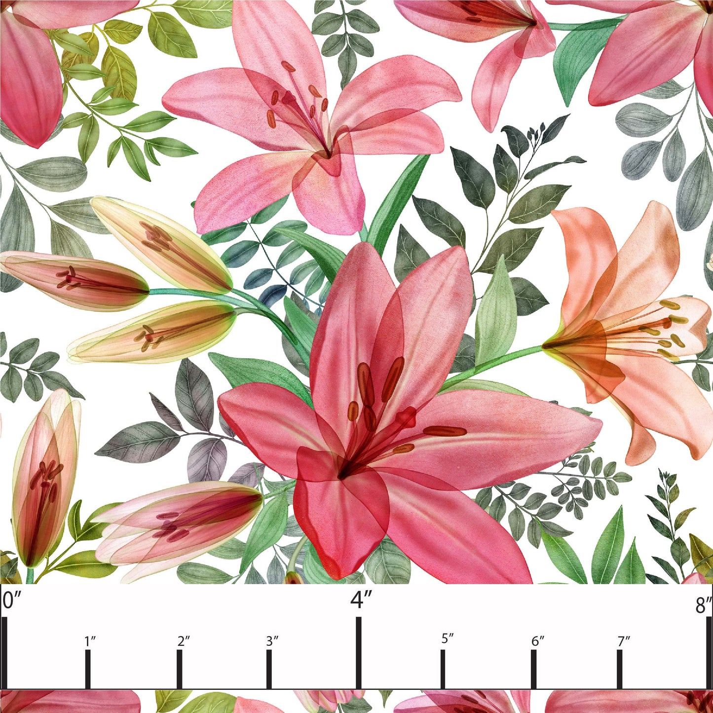 Lily preorder round 37.5 retail