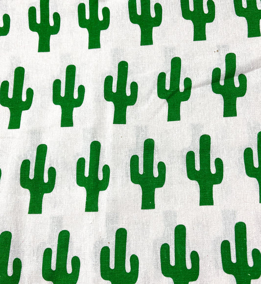 Clearance - Cactus canvas