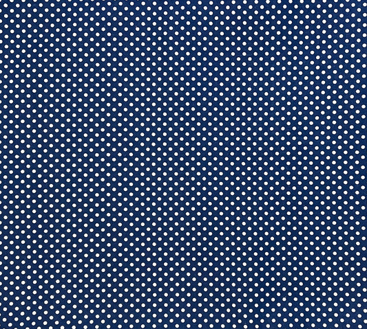White dots on navy