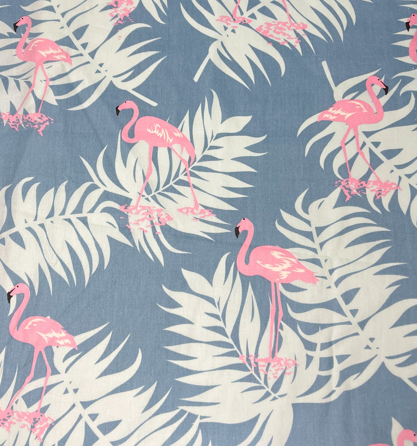 Flamingos on blue